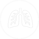 Pulmonology